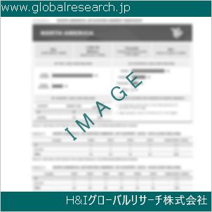 グローバルリサーチ調査資料のイメージ